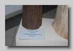 Sculture-Cavino-14-6-09 (74)